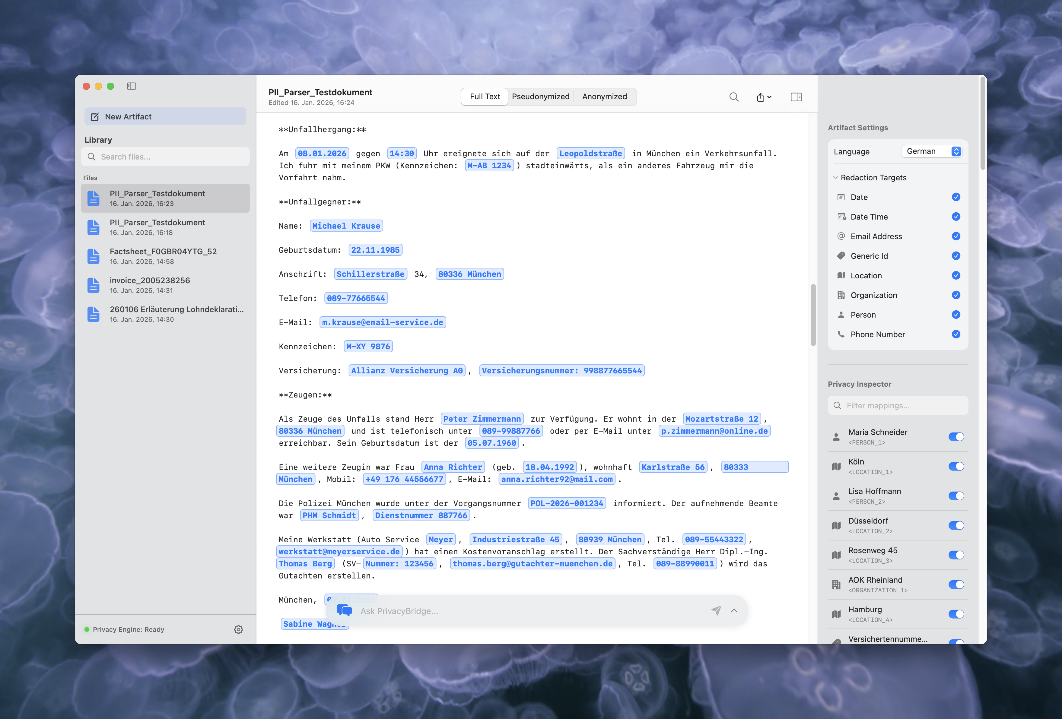 Original Document with PII